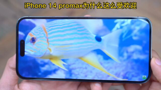 iPhone 14promax为什么这么受欢迎