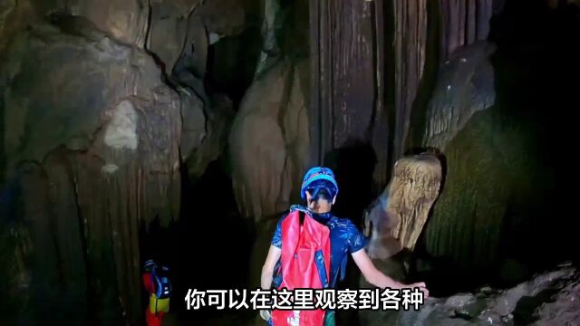 探秘广元旺苍县的鼓城山—七里峡风景区,发现神秘洞府和异兽奇观