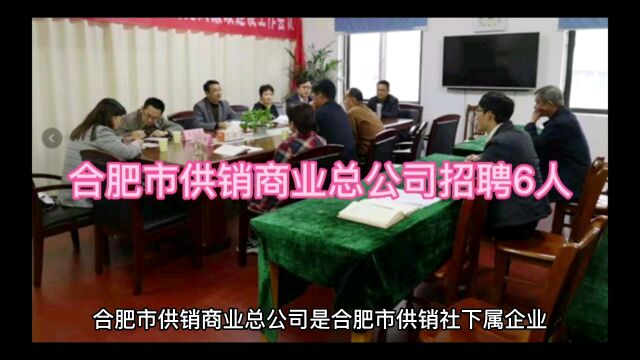 合肥市供销商业总公司招聘6人