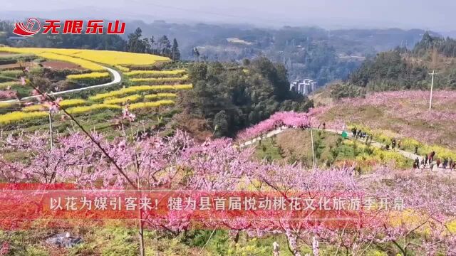 以花为媒引客来!犍为县首届悦动桃花文化旅游季开幕