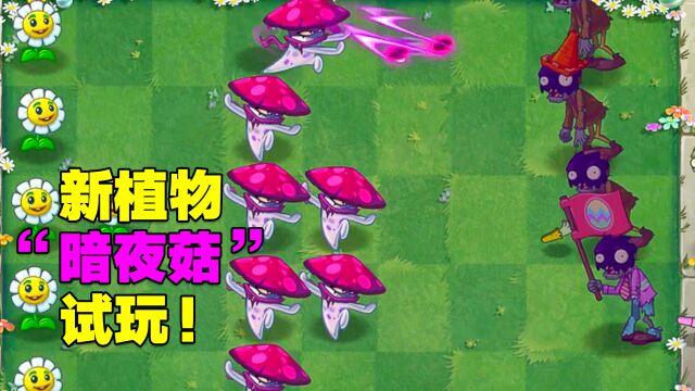 PVZ资讯:新植物“暗夜菇”试玩!