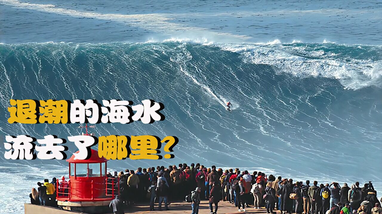 为啥大海会涨潮落潮,退潮时的海水,流向了何处?_高清1080P在线观看平台_腾讯视频