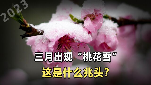 今年3月河南下了“桃花雪”,“桃花雪”是好是坏,有什么兆头?