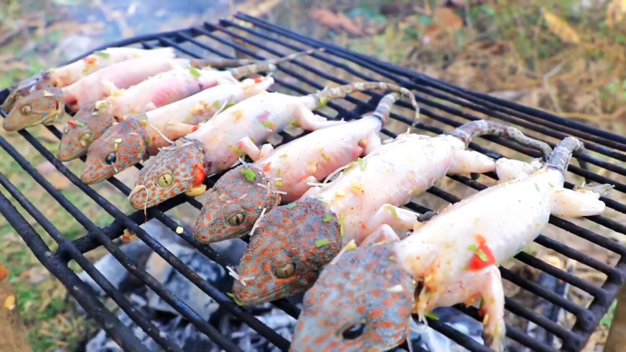 越南特色美食,炭烤大壁虎
