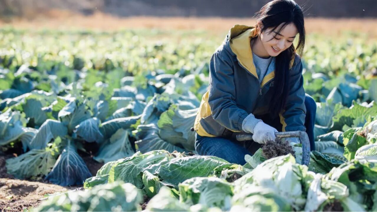 赵丽颖戴过的手套真是五花八门,戴棉纱手套下地干活真的接地气!