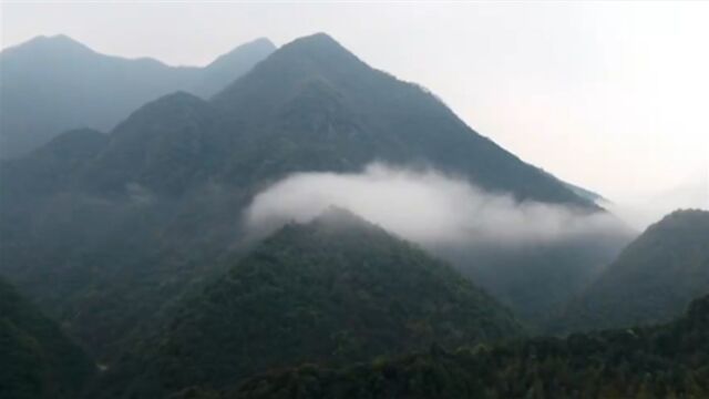 黄田村是一个中商、重教的古村落,对面是黄子山,右边是凤子河