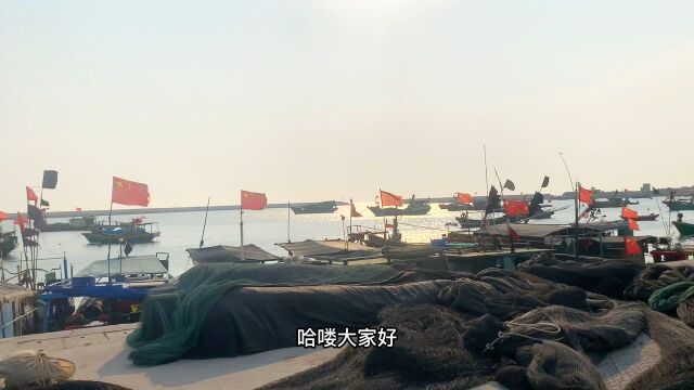 海南包吃住酒店#海南康养#海南旅居#三亚康养