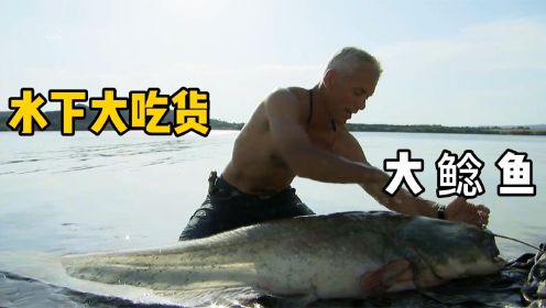 河中巨怪：欧洲巨型鲶鱼，这家伙狠起来连自己同类都吃！