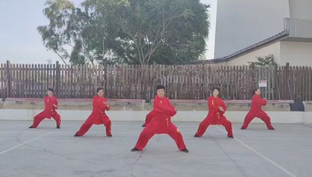 海太综合陈式太极拳