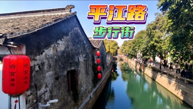 来苏州旅游,一定要去免费的平江路步行街!处处是景!