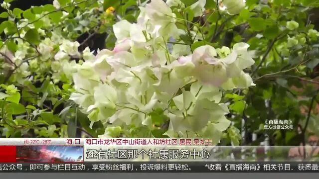 海口再建50个“一刻钟便民生活圈” 圈出社区居民幸福好生活