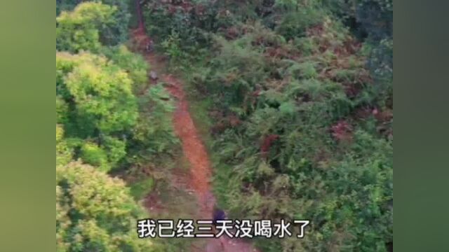 盘点那些破解版的“荒野求生”自从去了荒野求生,一个月竟然胖了30斤!