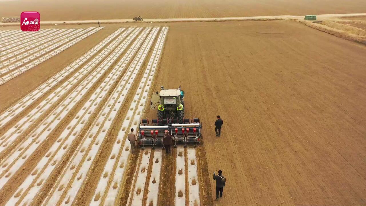 棉花播种机:种棉花,就这样轻松又精准