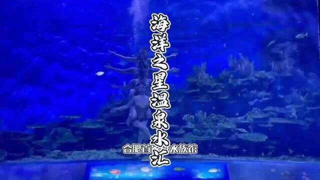 合肥首家带水族馆海底世界的海洋主题汤泉,占地11000平,4月28盛大开业,现在成人票只要88,儿童门票也只要58,免预约