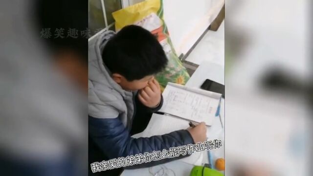 盘点那些姐弟情深名场面,难道这就是姐姐的快乐吗?姐弟关系真好#姐弟情深#血脉压制#搞笑