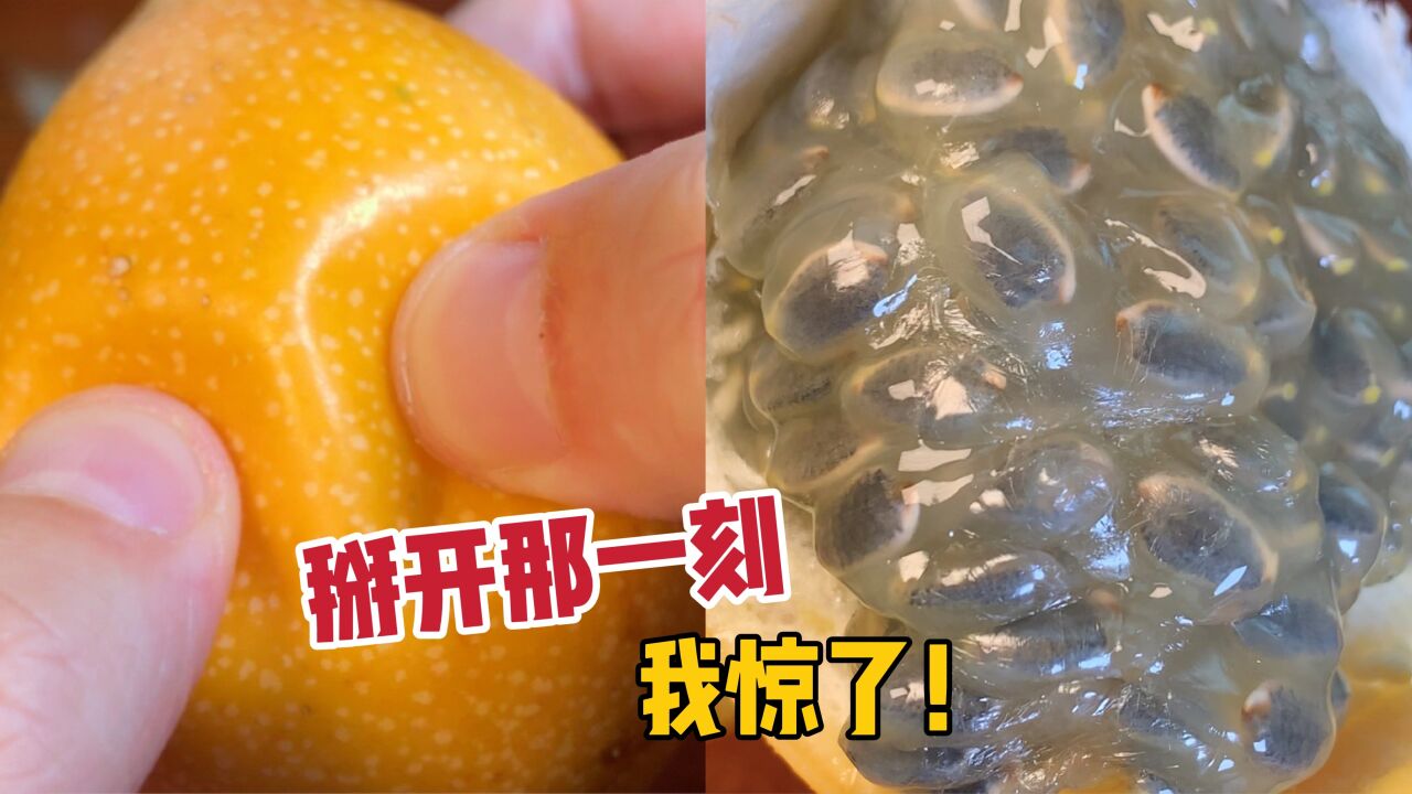 掰开那一刻,我惊了_高清1080P在线观看平台_腾讯视频
