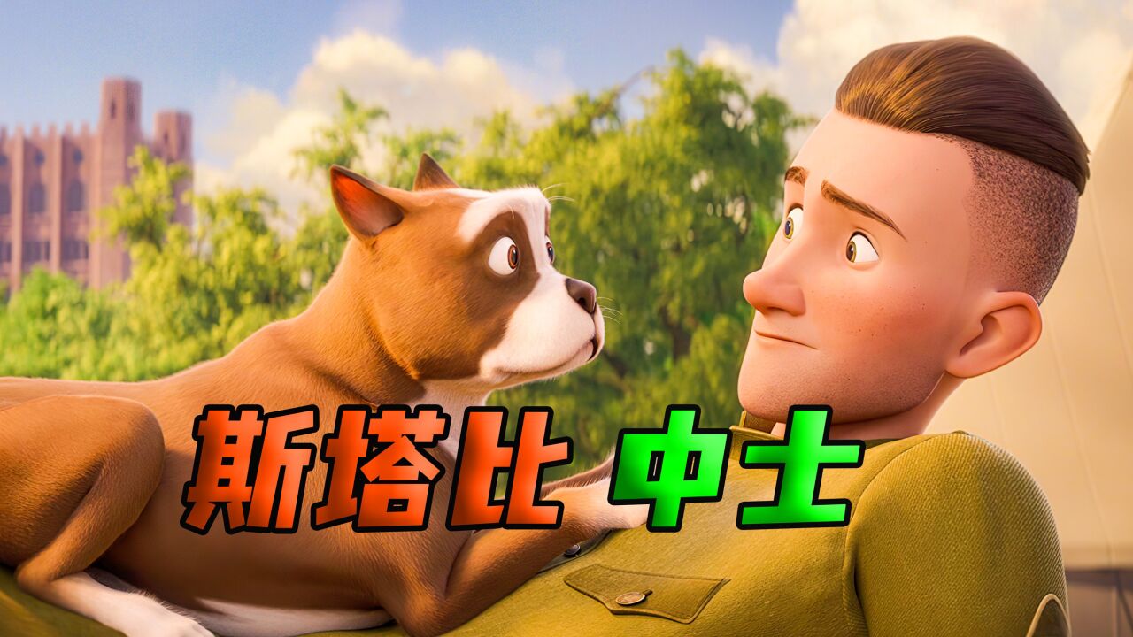流浪狗上战场 屡立奇功 《斯塔比中士》