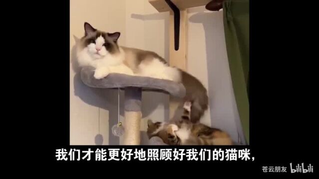 猫猫的听力比铲屎官的强很多,是人类的三倍以上