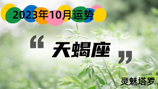 天蝎座2023年10月情感,双方渐行渐远,再有交集的可能性非常小