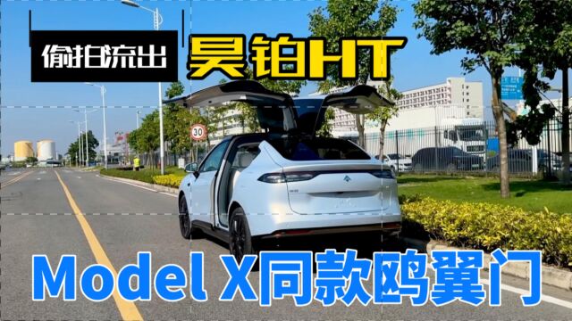 “中国Model X”要来了!昊铂HT鸥翼门实车曝光