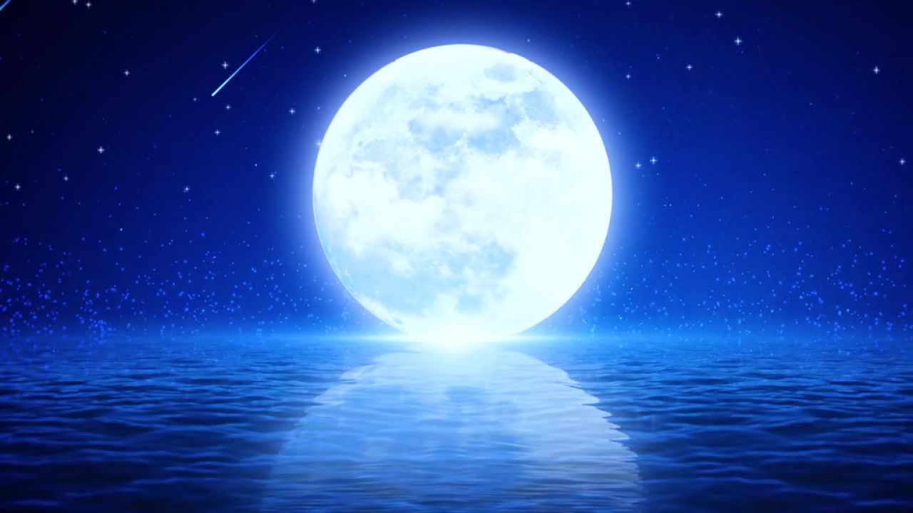 但愿人长久 千里共婵娟 #中秋节 #中秋节快乐 #一起看月亮 #唯美意境