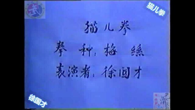 巴渝武术典藏(六)梅丝门猫儿拳,1985年四川省文体委、武术协会系统挖掘整理活动中,重庆大足知名拳师徐国才展示