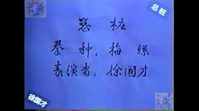 巴渝武术典藏(六)梅丝门总桩,1985年四川省文体委、武术协会系统挖掘整理活动中,重庆大足知名拳师徐国才展示