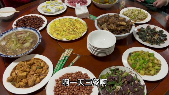 承德隆化七家泡温泉,120元三顿饭管吃管住,喝美了大家要唱歌!