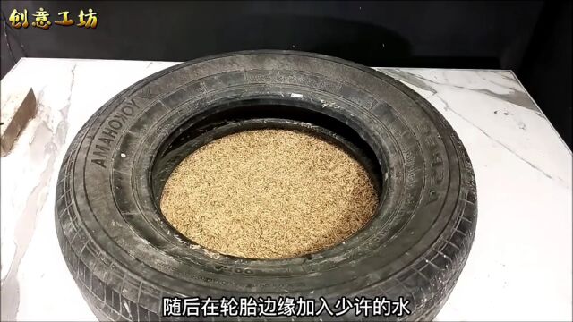 只需十几块的成本,就能制作出一款小鸡孵化器