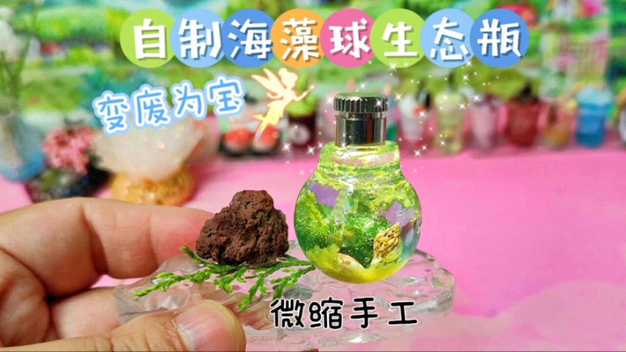 超治愈的海藻球生态瓶,制作方法简单到有手就行!