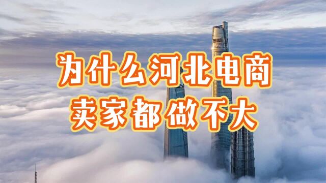 为什么河北电商卖家都做不大?