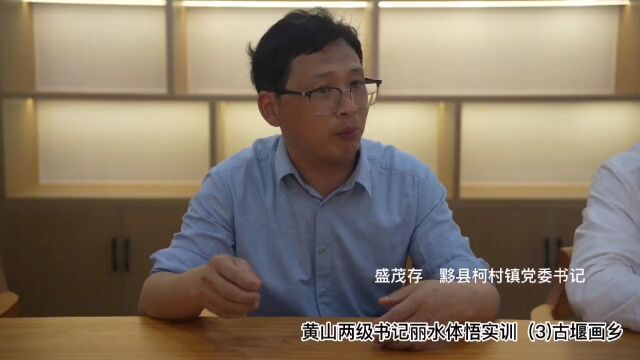 黄山两级书记丽水体悟实训③ | 堰头:从“猪圈粪坑村”到“全国生态文化村”