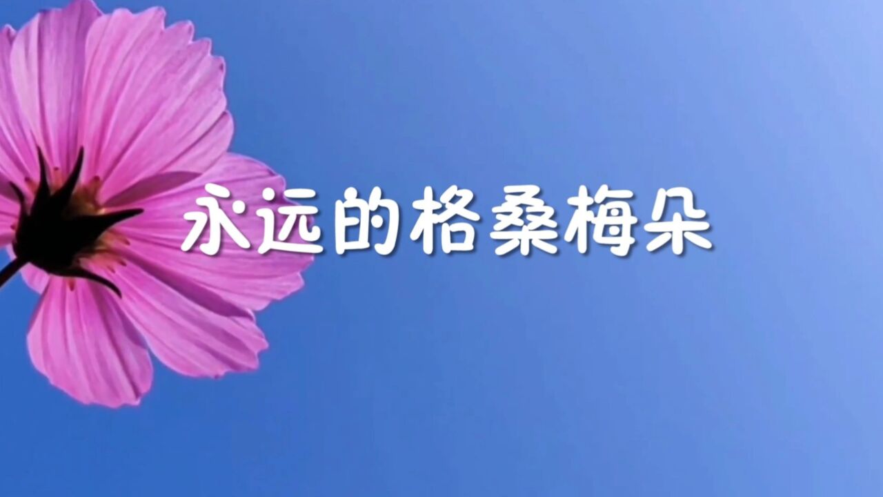 永远的格桑梅朵(无旁白纯音乐)朗诵配乐背景视频