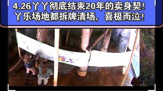 4.26丫丫彻底结束20年的卖身契!丫乐场地都拆牌清场,喜极而泣!