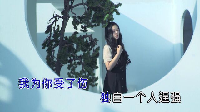 王佳佳放不下(原版)红日蓝月KTV推介