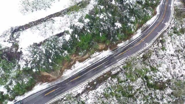 雨夹雪、中雪!这里看河南四月飞雪!