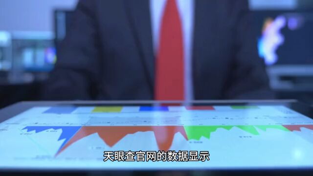 LV集团中国公司被裁定强制执行