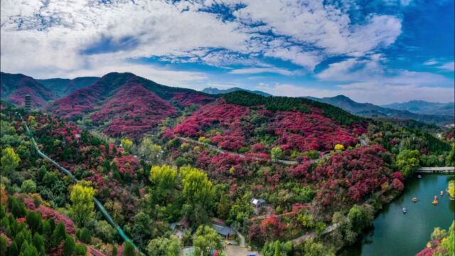 古风遇红叶,一瞥便是惊鸿!山东济南红叶谷,漫山红叶正当时!