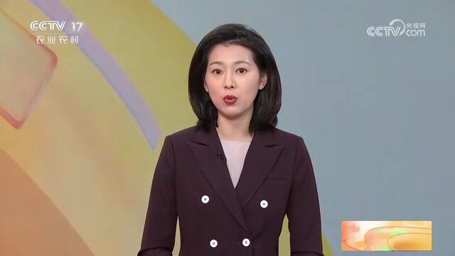 央媒眼中的吉林(2023.4.26)︱聚焦跨国公司吉林行