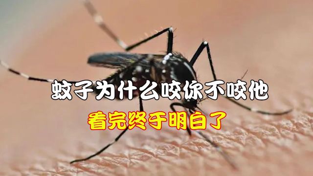 蚊子为什么只咬你,而不咬他?看完终于明白了!