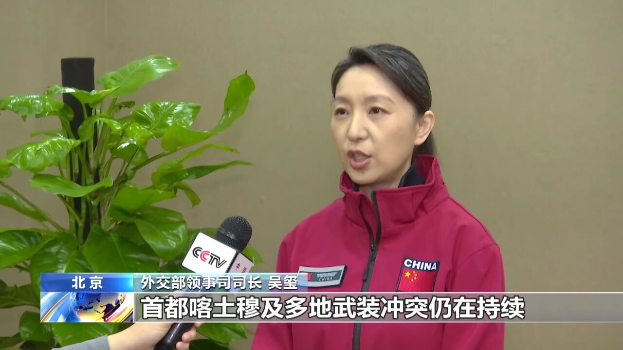 外交部领事司司长吴玺就维护在苏丹中国公民安全接受央视采访