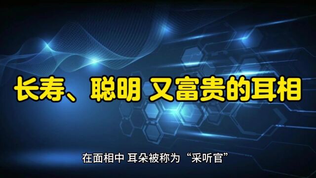 长寿、聪明又富贵的耳相