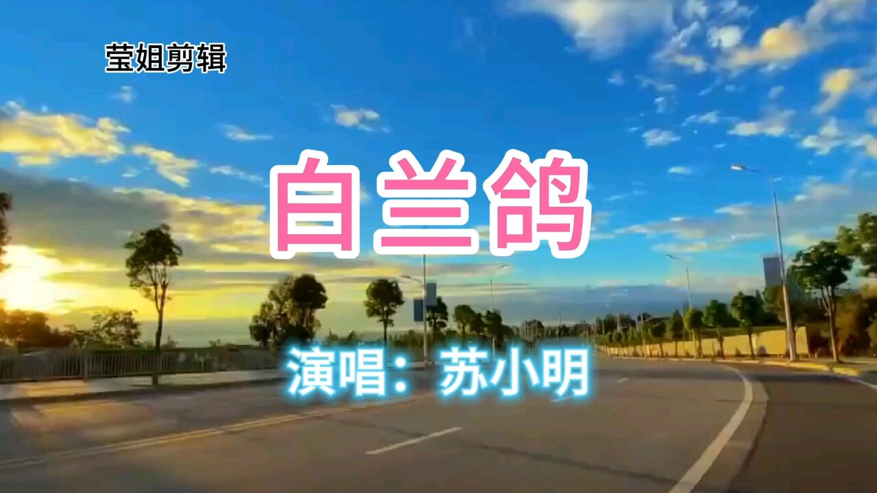 《白兰鸽》演唱苏小明,经典老歌,曾风靡全球的名曲,依然动听