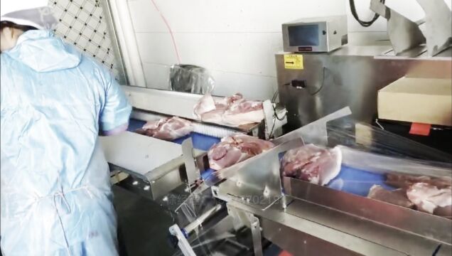 生鲜猪肉打包机10斤现切800上下切包装机生鲜肉类装袋装袋机屠宰场肉类自动打包机械