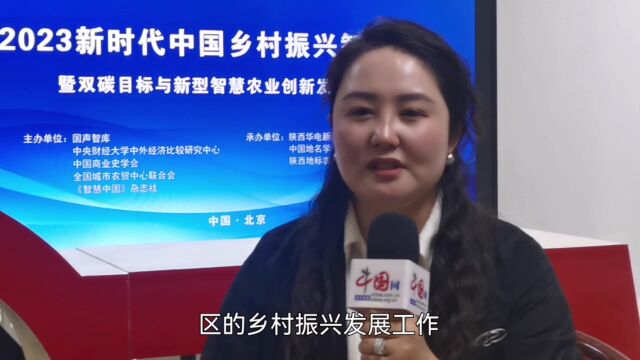 范泽兰接受中国网专访:发展大健康产业