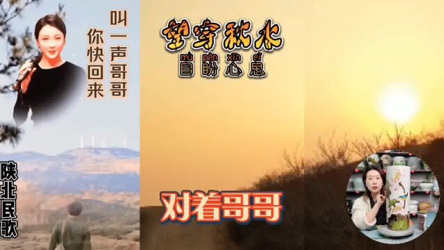 关山万里路迢遥,翘首跂踵归期早#叫一声哥哥你快回来#经典老歌#人生插曲