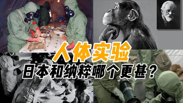 丧心病狂的人体实验,一个比一个恐怖,人兽杂交只能垫底