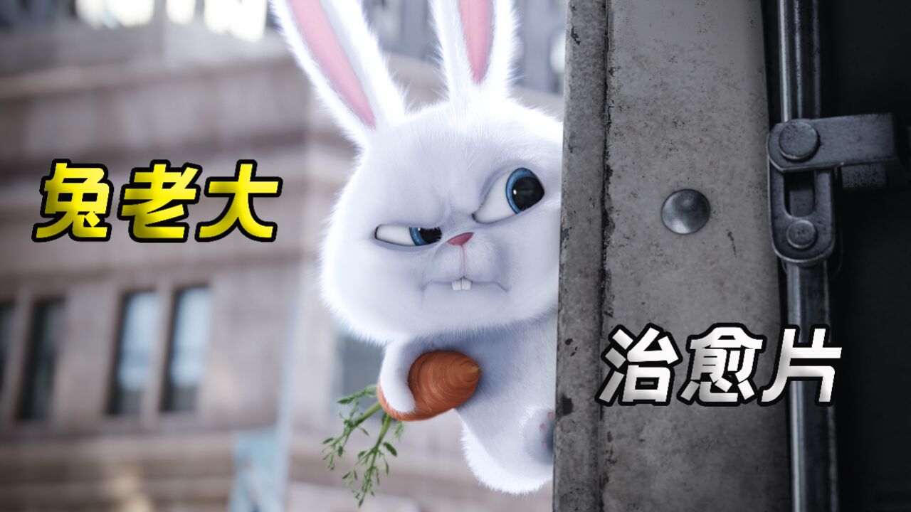 史上最帅萌的兔老大《爱宠大机密》_腾讯视频