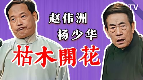 狗神遇上蔫哏，精彩影像再现：赵伟洲、杨少华《枯木开花》1991版