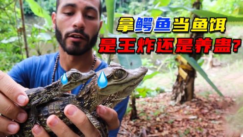 在亚马逊用鳄鱼钓鱼，秒速钓上罕见巨无霸，到底是种什么体验？